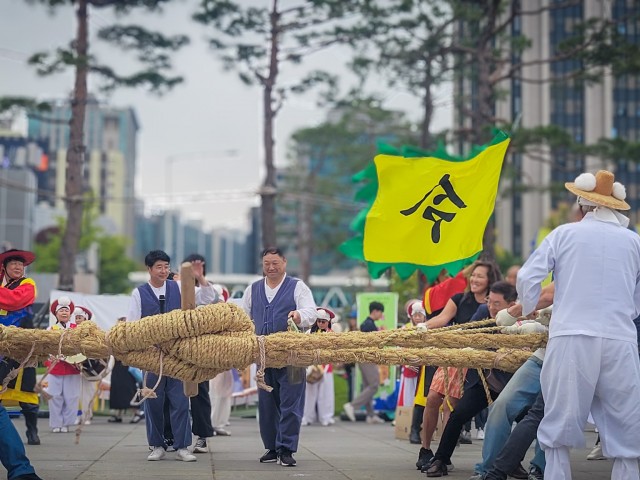 광화문을 물들인 기지시줄다리기, 와우페스티벌 현장!